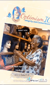 Human Hair Wigs and Handbags Optimismic Wigs and Gifts St Paul Minnesota