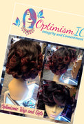 Hair Wigs for Women under $100&nbsp; OptimismIC Wigs and Gifts Shop St Paul Minnesota
