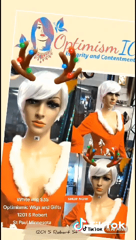 White Wig $35 Optimismic Wigs and Gifts