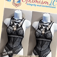 Foxy Fishnet Cover ups $5 OptimismIC Wigs and Gifts Shop West St Paul MN