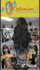 Body Wave Wigs with Bangs $69 | OptimismIC Wigs and Gifts St Paul