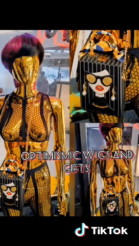 Purses Novelty Hand Bags $20 Optimismic Wigs and Gifts Shop St Paul Minnesota. 1201 S Robert Street. Signal Hills Shopping Center.