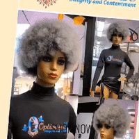 $59 Chayne Gray Synthetic glueless Afro Wigs Optimismic Wigs and Gifts
St Paul Minnesota 55118