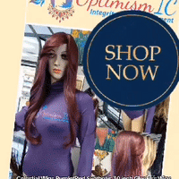 Celestial Wigs Purple/Red Synthetic 30 inch Glueless Wigs $69 Optimismic Wigs and Gifts