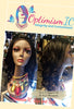 Bella $250 HD Lace 13x6 100% Human Hair Lace Front Wig Optimismic Wigs and Gifts St Paul Minnesota - OptimismIC Wigs and Gifts