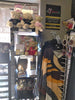 Big Brother Sister Bear $15 OptimismIC Wigs and Gifts West St Paul MN - OptimismIC Wigs and Gifts