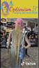 blonde marley twist cap wigs optimismic wigs and gifts st paul mn