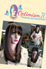 Women's Clothing Fall Jacket $25 Optimismic Wigs and Gifts Shop West St Paul MN - OptimismIC Wigs and Gifts