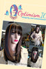 Women's Clothing Fall Jacket $25 Optimismic Wigs and Gifts St Paul MN. Gifts under $30.