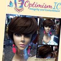 Gina Brown Synthetic glueless Short Wigs $25 Optimismic Wigs and Gifts West St Paul MN - OptimismIC Wigs and Gifts