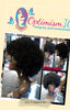 Heritage Afro Wig $25 Optimismic Wigs and Gifts Shop Paul MN 55118 - OptimismIC Wigs and Gifts
