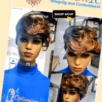 Shay Bronze Ombre Synthetic Wigs $69 Optimismic Wigs and Gifts St Paul Minnesota. Minnesota wigs stores.