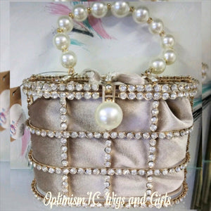 Beaded Rhinestone Purse $30 OptimismIC Wigs and Gifts West St Paul MN - OptimismIC Wigs and Gifts