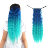 Blue ponytails optimismic wigs and gifts west saint paul