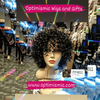 Model 100% Curly Human Hair Wig $60 Optimismic Wigs and Gifts St Paul MN