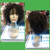 Model 100% Human Hair Wig $60 Black Curly Optimismic Wigs and Gifts St Paul MN