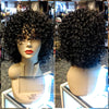 Model 100% Curly Human Hair Wig $60 Optimismic Wigs and Gifts St Paul MN